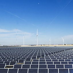 睿晶光伏太陽能與風(fēng)能發(fā)電的招商優(yōu)勢及聯(lián)系方式